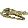 Load image into Gallery viewer, Komodo Alligator Skull