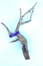 Load image into Gallery viewer, Sublime Vines Ghost Wood