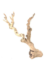 Load image into Gallery viewer, Sublime Vines Sandblasted Grapevine