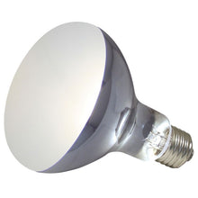 Load image into Gallery viewer, Zoo Med Powersun UV Light Bulb