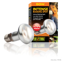 Load image into Gallery viewer, Exo Terra Intense Basking Spot