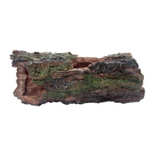 Load image into Gallery viewer, Komodo Forest Log