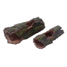 Load image into Gallery viewer, Komodo Forest Log