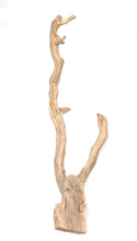 Load image into Gallery viewer, Sublime Vines Sandblasted Grapevine