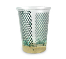 Load image into Gallery viewer, Hornworms 25+ count - Cupped