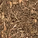 Load image into Gallery viewer, BioActive Supply Rainforest 6 qt
