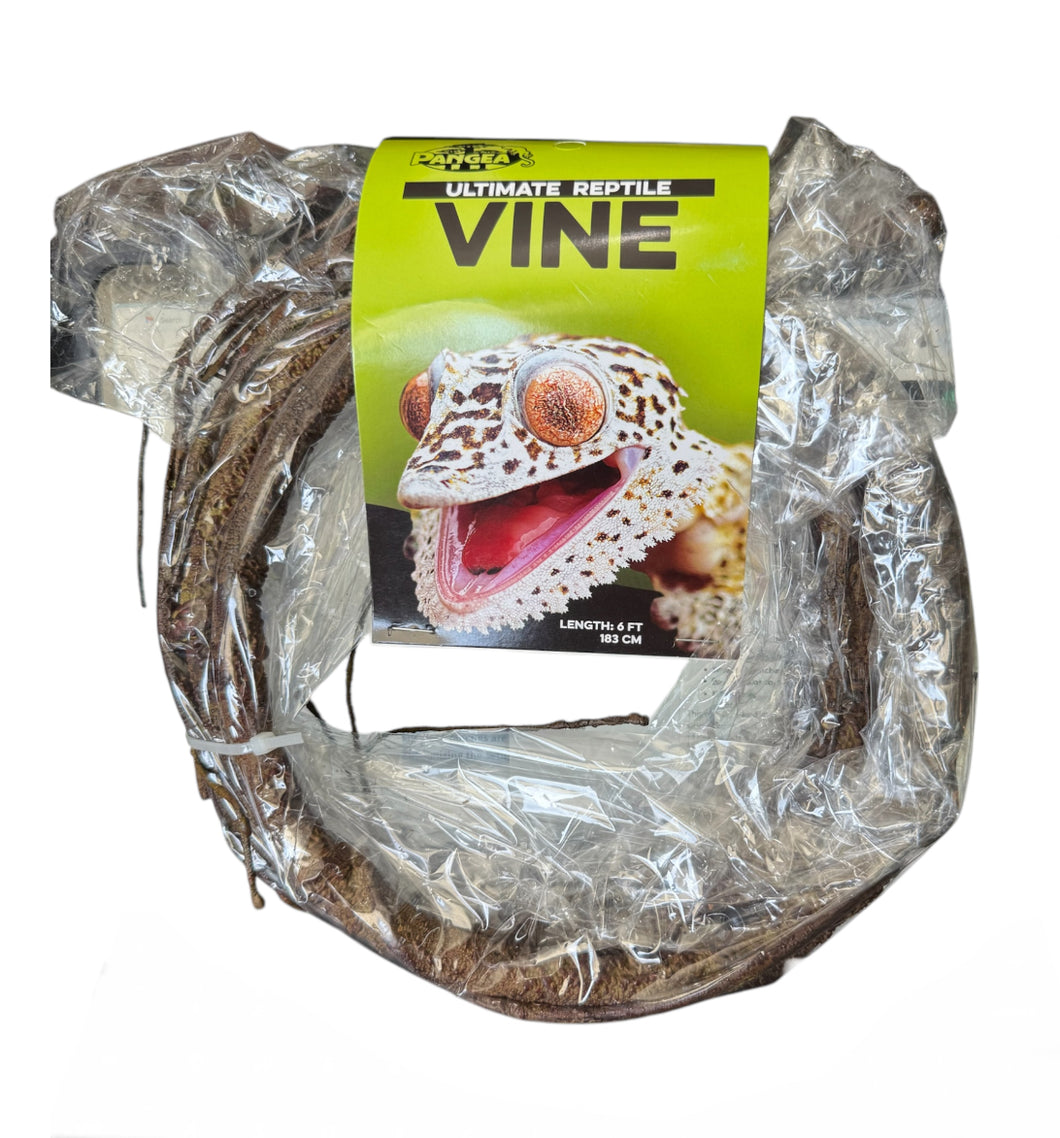 Pangea Ultimate vine 6ft