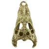 Load image into Gallery viewer, Komodo Alligator Skull
