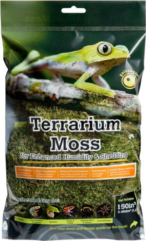 Galapagos Pillow Moss