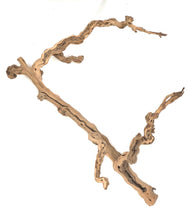 Load image into Gallery viewer, Sublime Vines Sandblasted Grapevine
