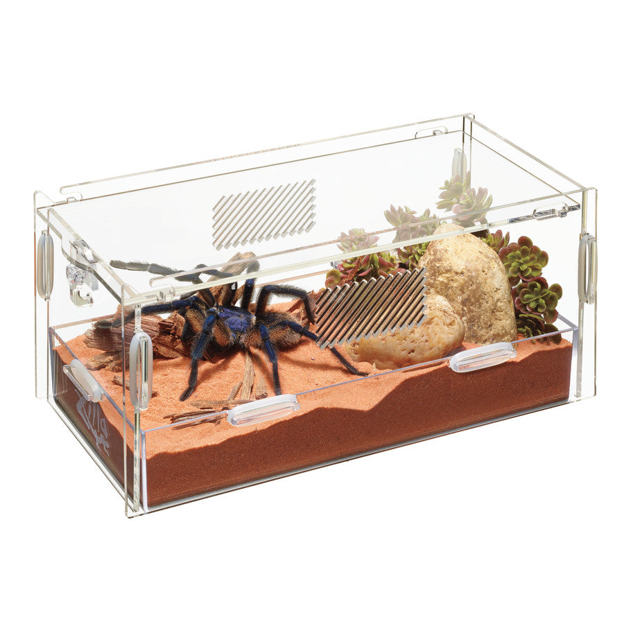 Zilla Terrestrial Micro habitat