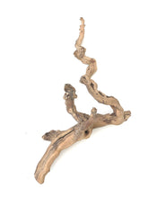 Load image into Gallery viewer, Sublime Vines Sandblasted Grapevine
