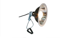 Load image into Gallery viewer, Deluxe porcelain clamp lamp ZooMed
